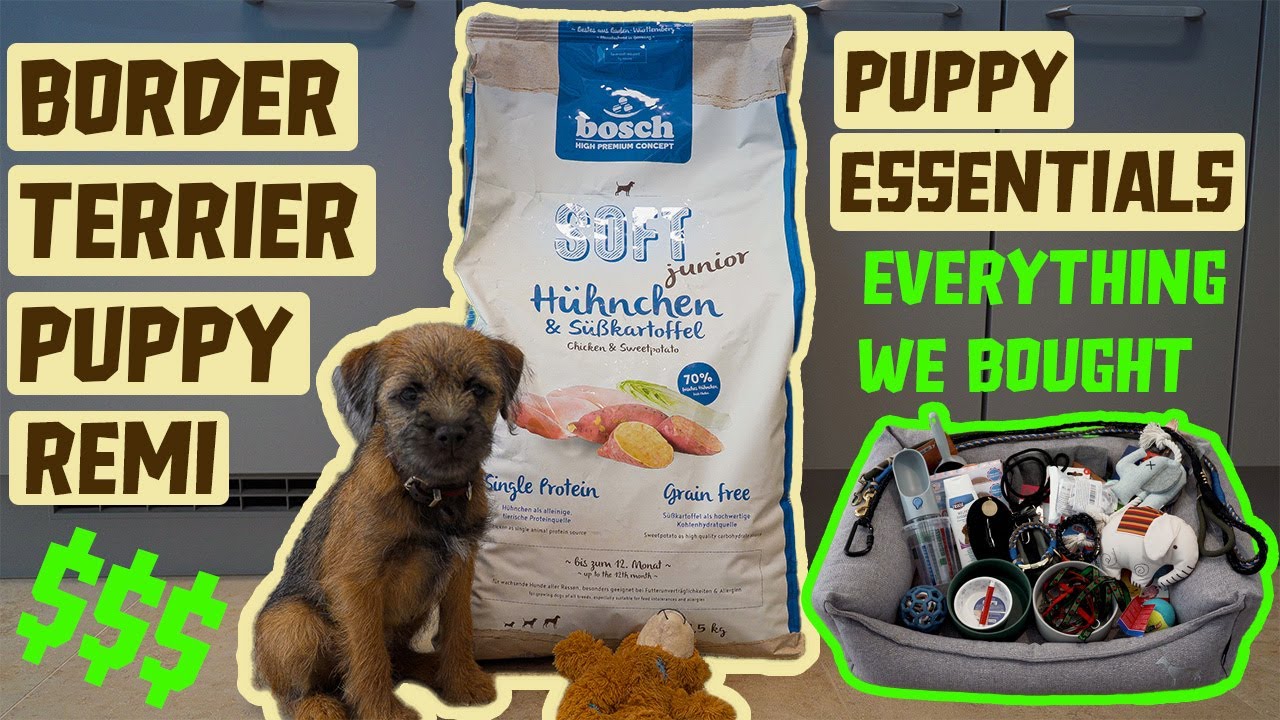 PUPPY ESSENTIALS 2021 | EVERYTHING we bought for our NEW PUPPY