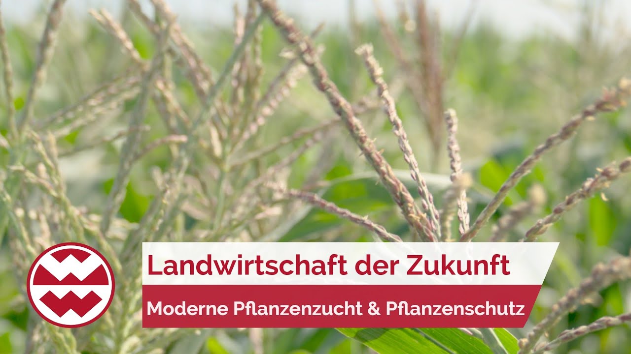 Landwirtschaft der Zukunft  &ndash; moderne Pflanzenzucht & Pflanzenschutz | Green Life | Welt der Wunder