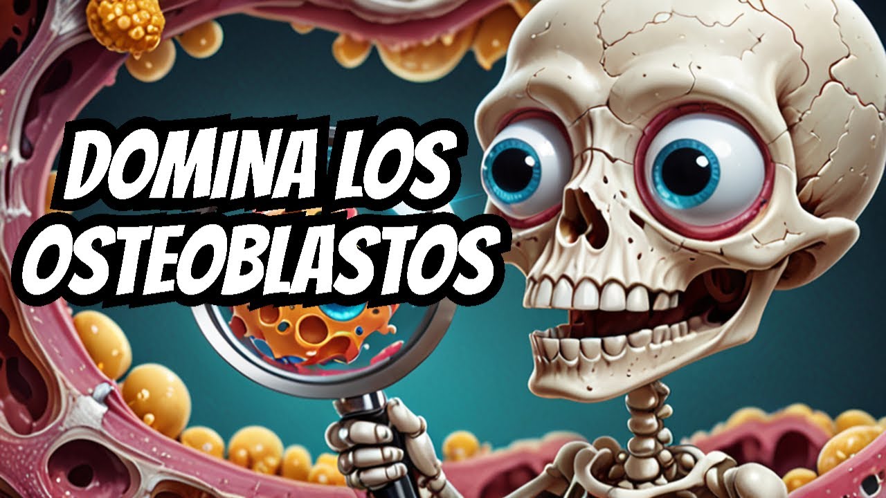 Todo lo que necesitas saber sobre los osteoblastos