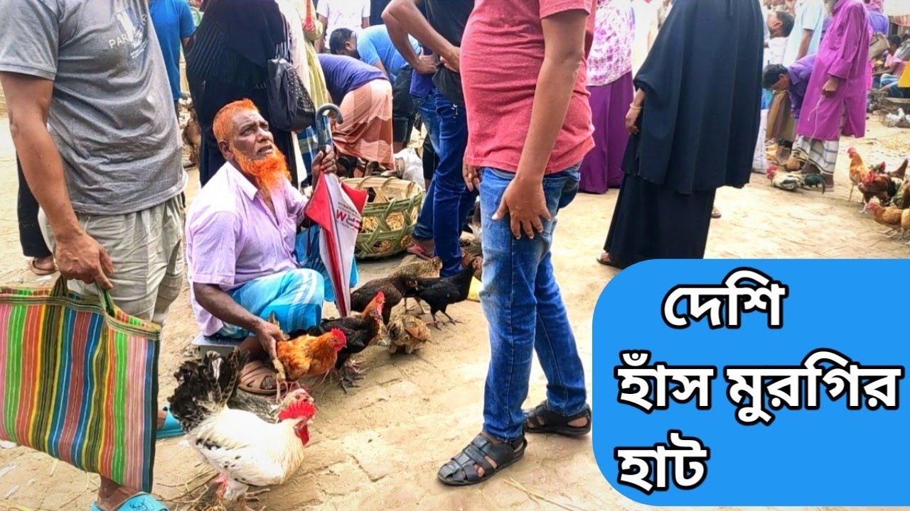 এখানে দেশি হাঁস-মুরগি পাওয়া যায়। দেশি হাঁস-মুরগির হাট। করটিয়া টাঙ্গাইল।।