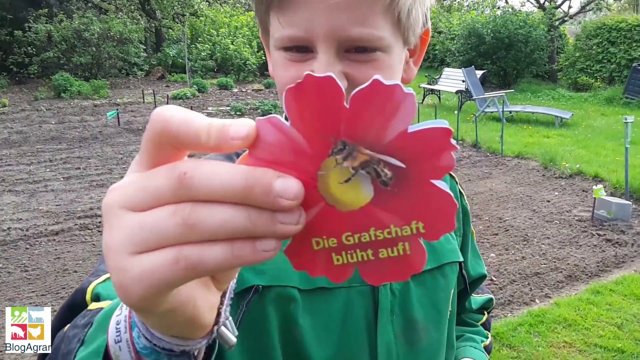 Deutschlands Bl&uuml;hmischungen