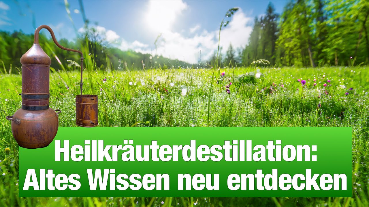🌿 Heilkräuterdestillation – Wie du Hydrolat & ätherisches Öl selbst herstellst (Folge 1)