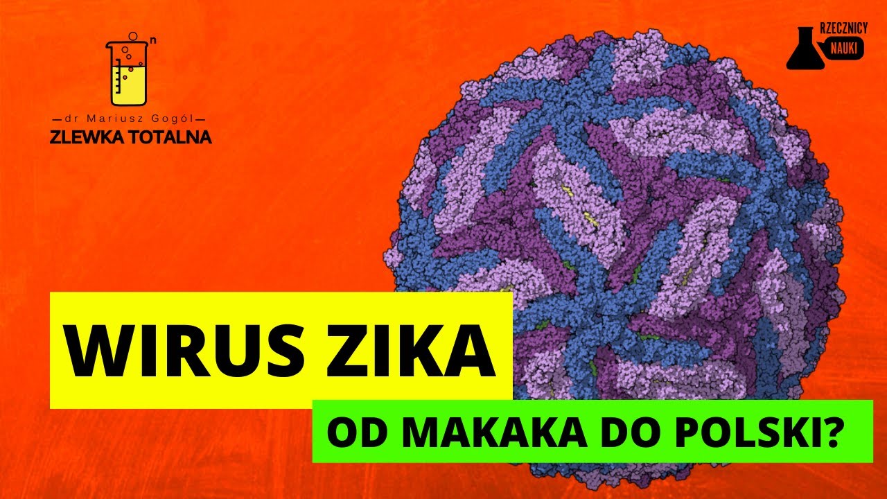 #1 WIRUS ZIKA - OD MAKAKA DO POLSKI?  [ENCYKLOPEDIA WIRUS&Oacute;W]