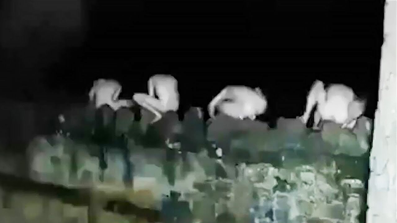 Moments You Must See To Believe ! 🤯