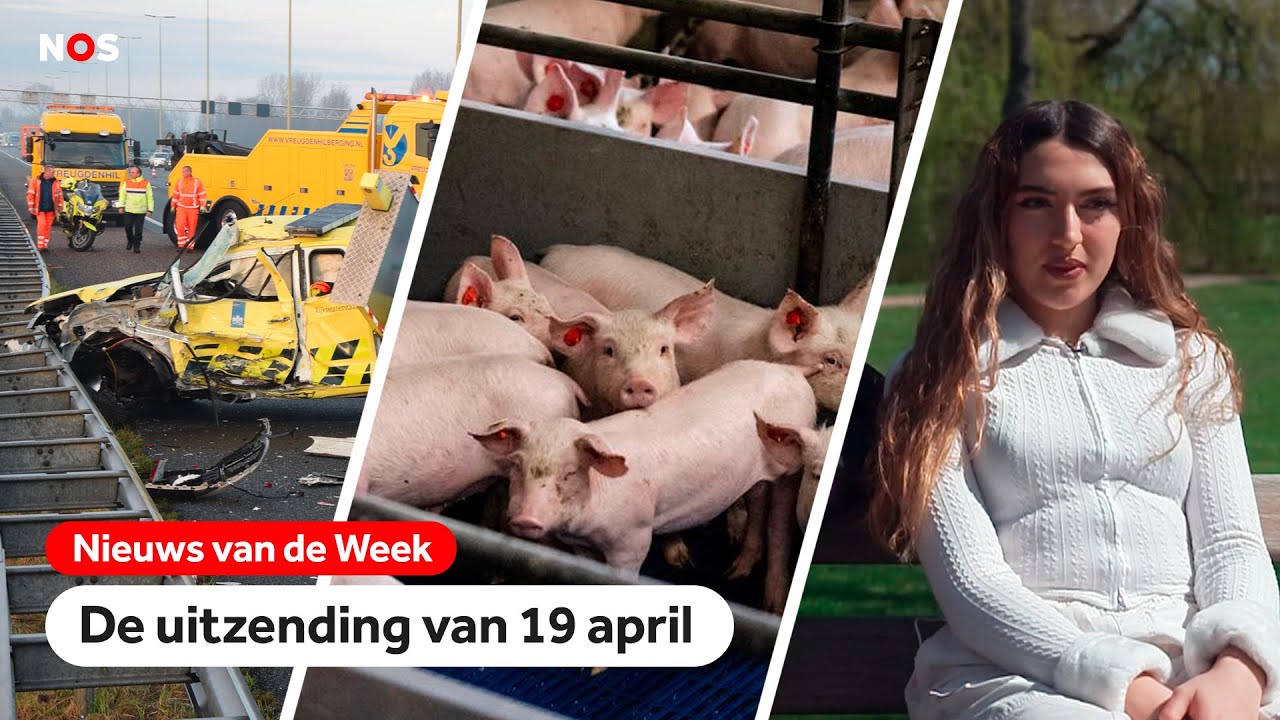 Verkeersongelukken door drank en drugs, kritiek op slachthuizen en geen school voor 2000 kinderen.