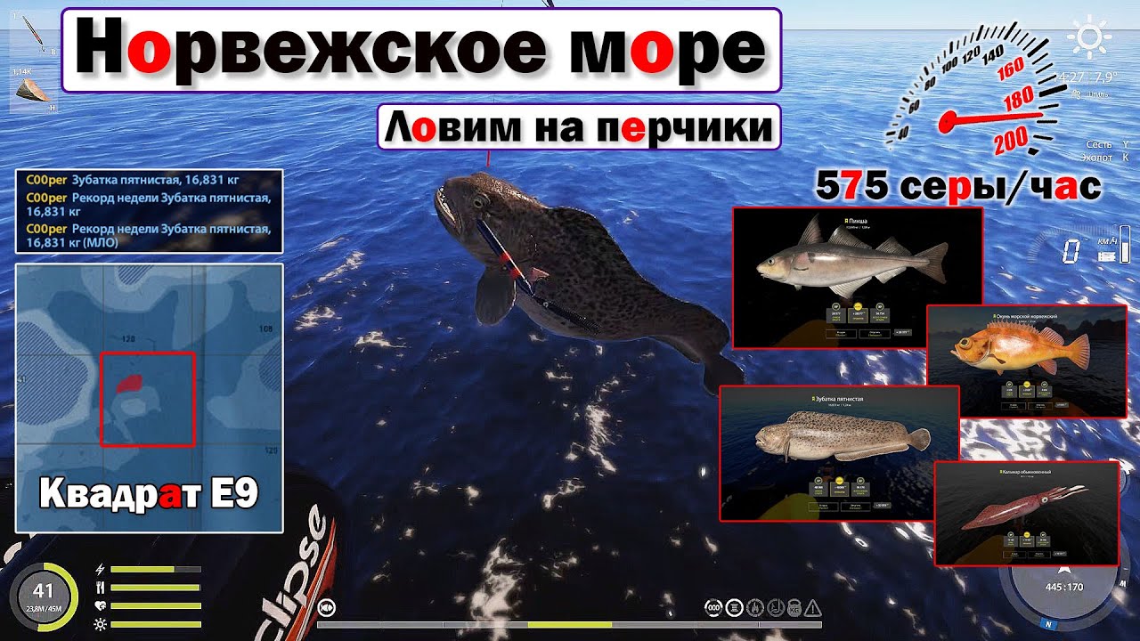 Ловлю на перчики • Снова в рекордах • Норвежское Море • Русская Рыбалка 4