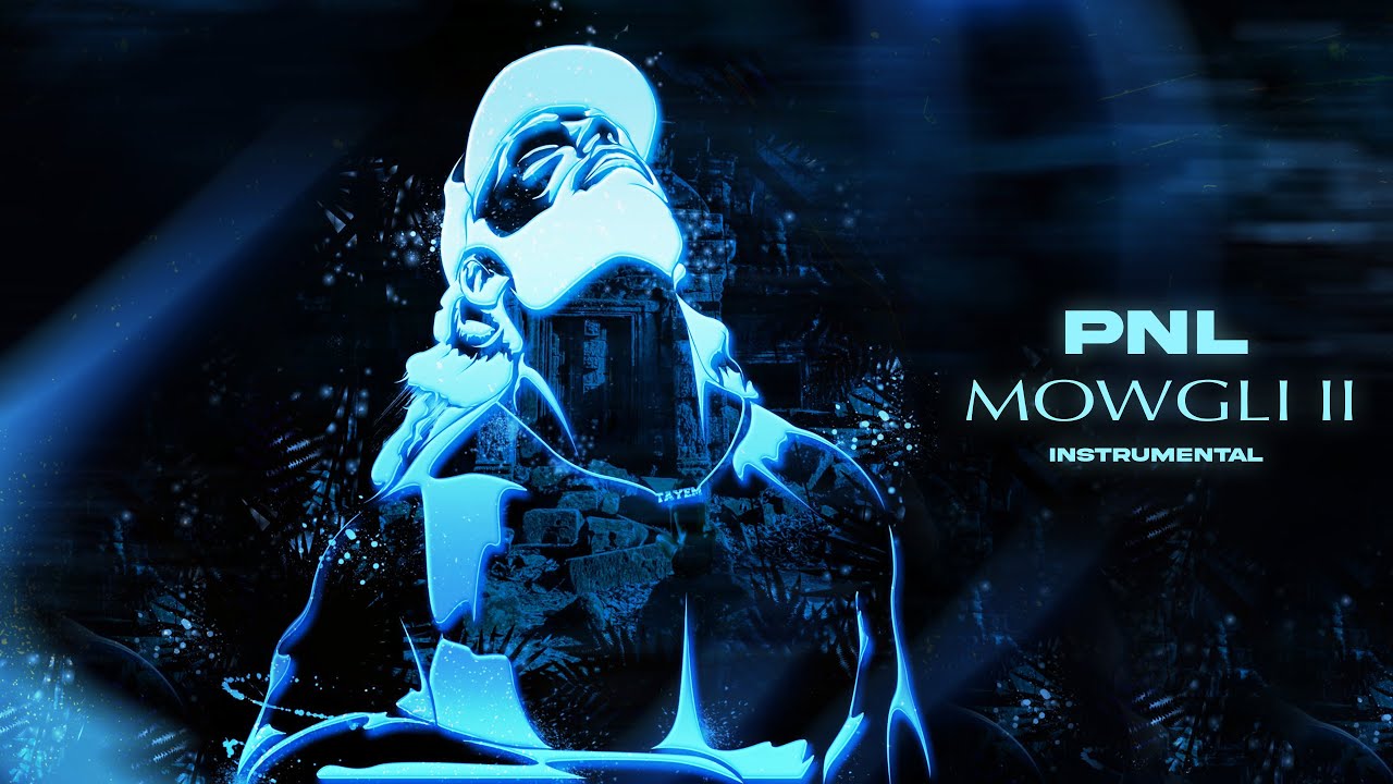 PNL // MOWGLI 2 (instru)