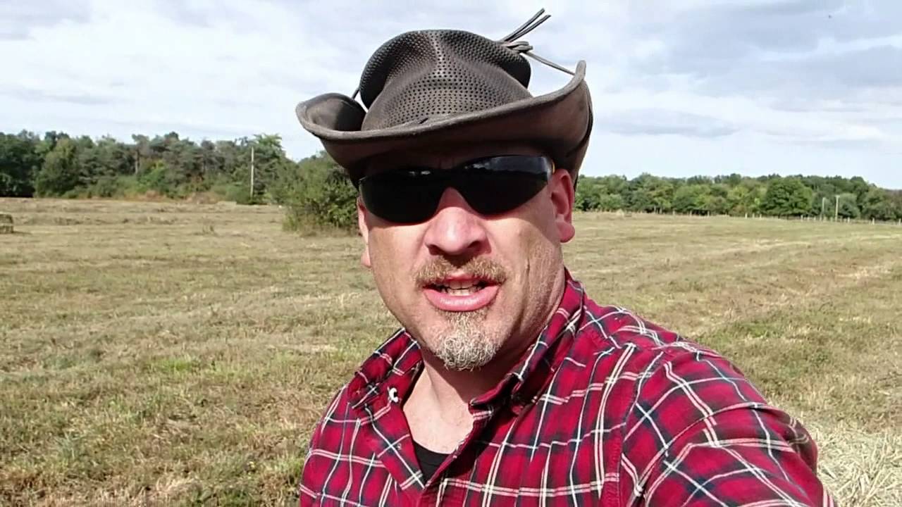 Bad Hay Crop