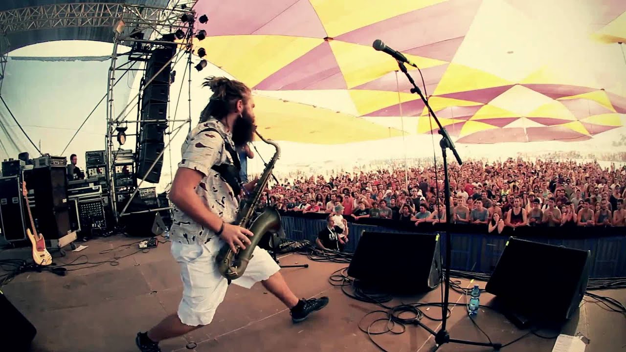 MALOX - The nice skin head - live @ in D negev festival 2014