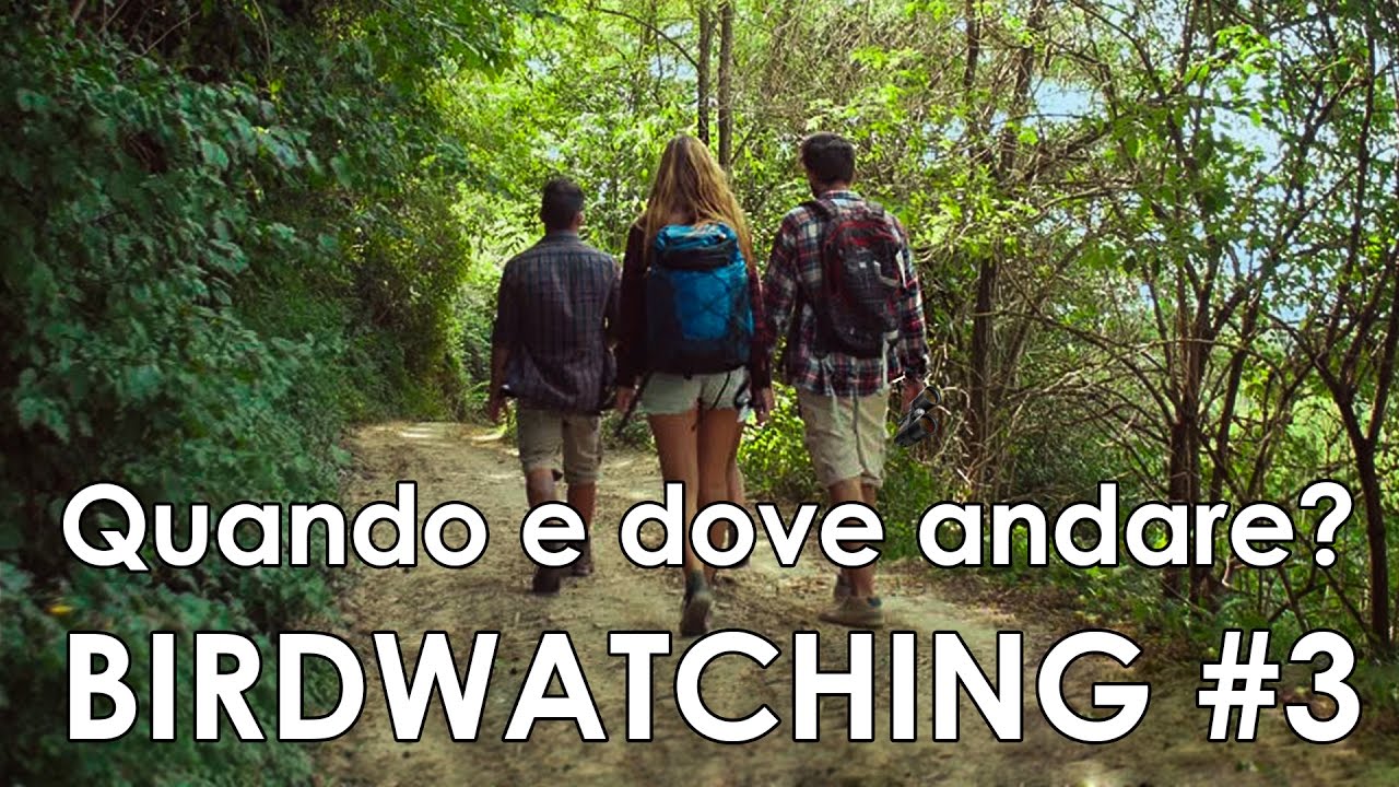 Video-corso di birdwatching #3 - Quando e dove andare