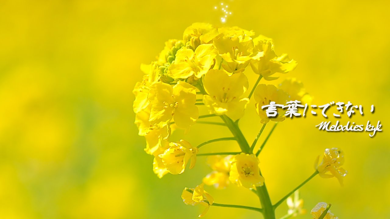 ♫ 言葉にできない／小田和正（オフコース） Instrumental