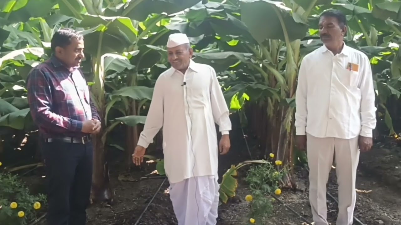 डबल ड्रिपवर केळी लागवड  जास्त उत्पादनासाठी नेटाफिम चे आधुनिक तंत्रज्ञान |नेटाफिम ठिबक| Netafim Drip