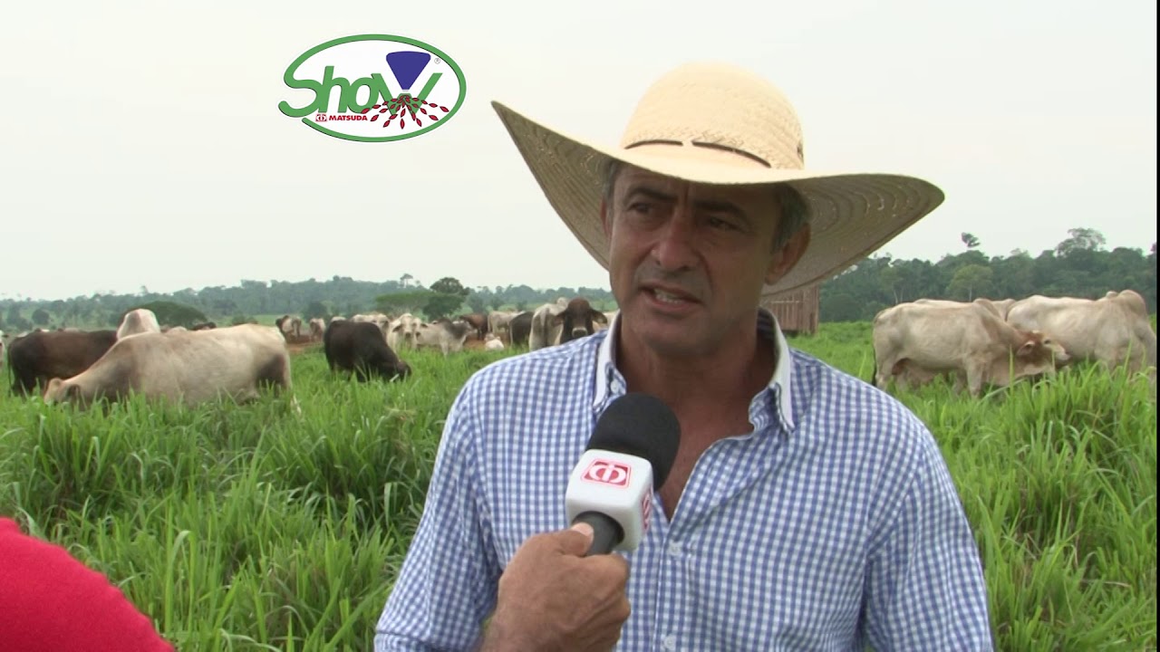 Fazenda JJ - MG12 Paredão