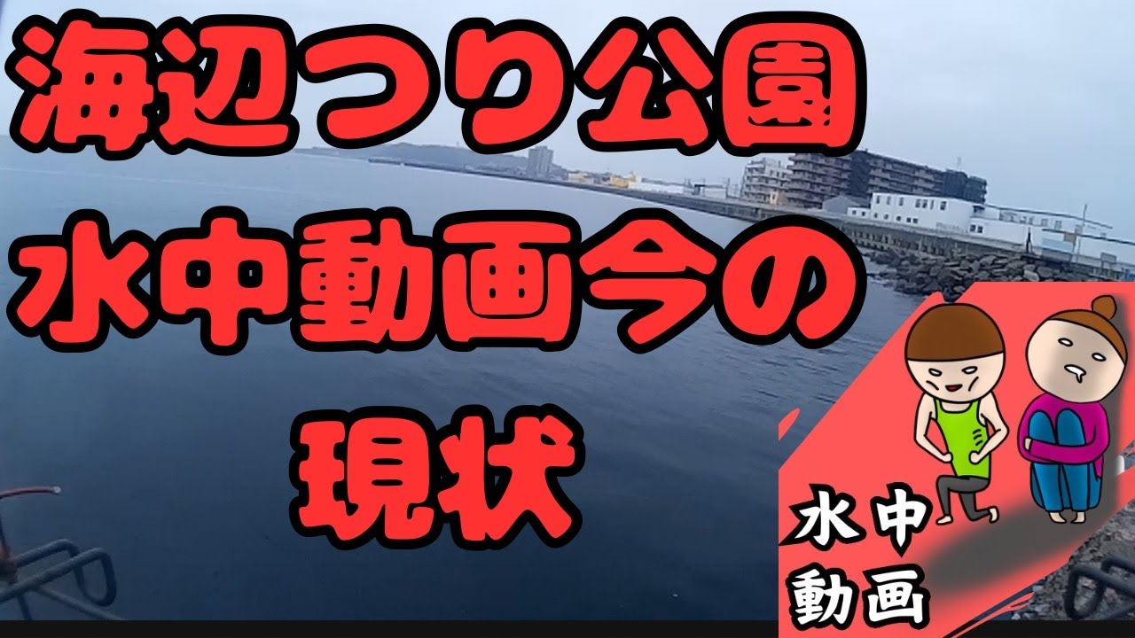 6月3日 海辺つり公園　水中動画今の現状　釣りの参考に