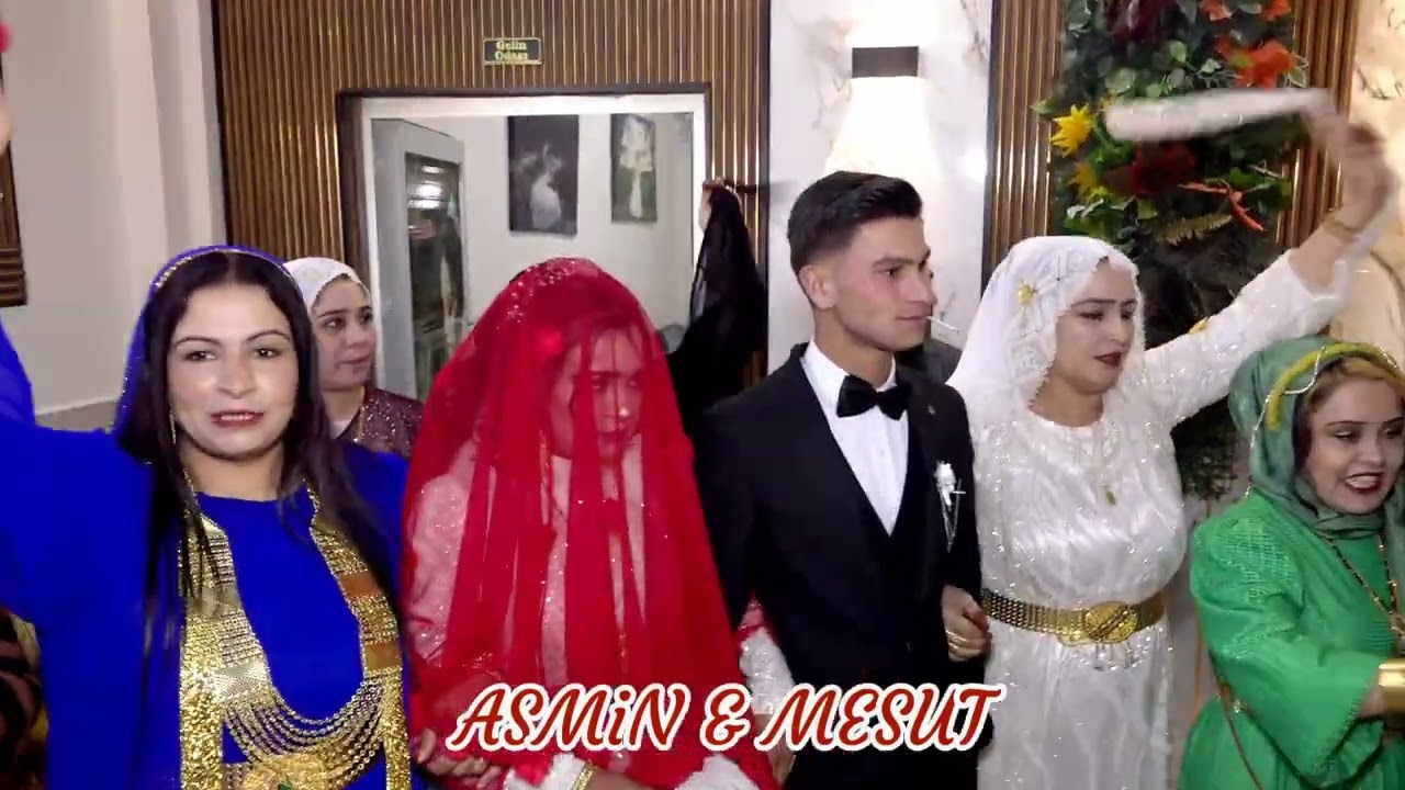 rüstemi aşireti osman ailesi asmin ile mesut düğünü siirt 2026