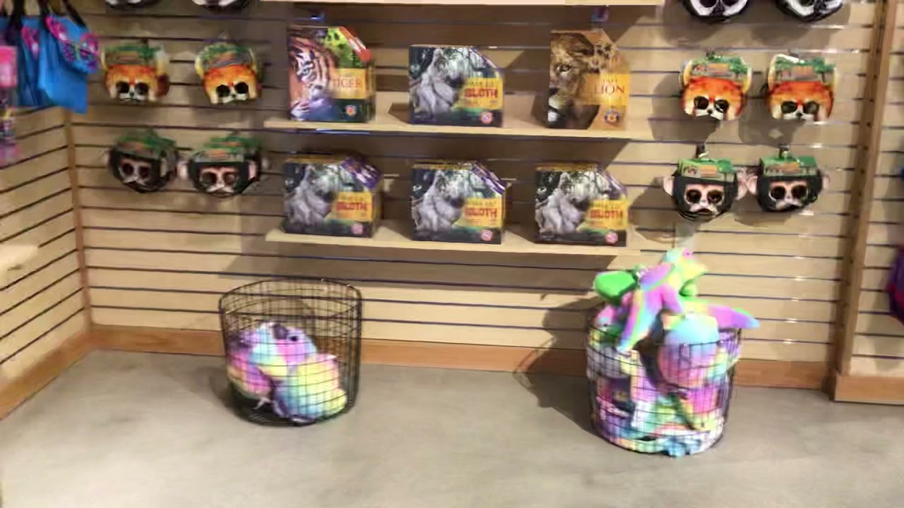 🦋🦒🦘Fort Wayne Children&rsquo;s Zoo Wild Things Gift Shop