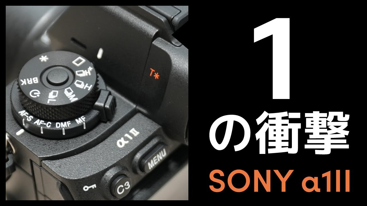 SONY α1II（ILCE-1M2）を購入！α7RVから乗り換えたポイントなどを紹介！