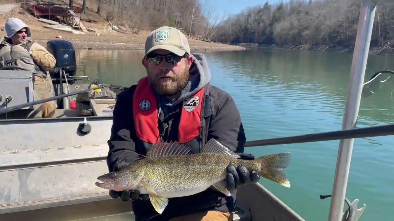 Walleye Fishing in Virginia's South Holston Lake