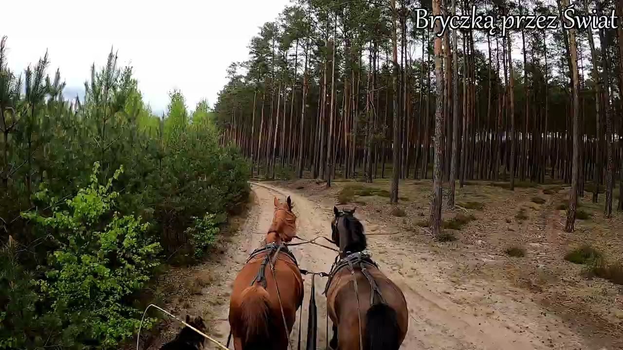 Rozpoczęcie Sezonu 2025 - Stajnia Matecznik Błota - cała relacja.