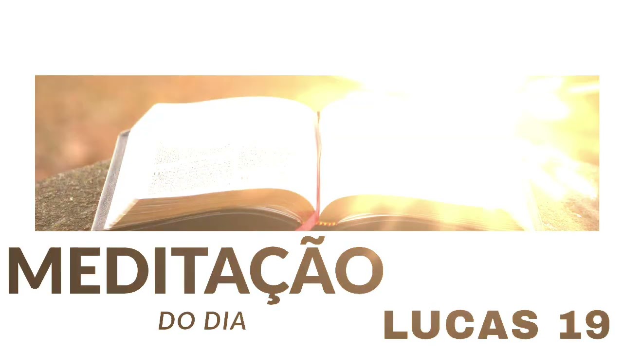 MEDITAÇÃO DO DIA - LUCAS 19