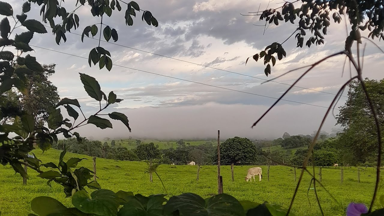 Pagamento do leite/ leite em queda, quanto recebi