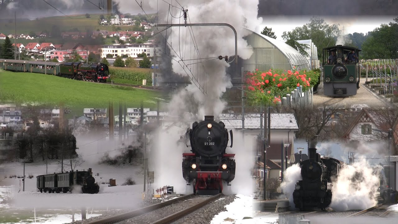 Dampflok Mix 2019   Dampferlebnisse in der Schweiz