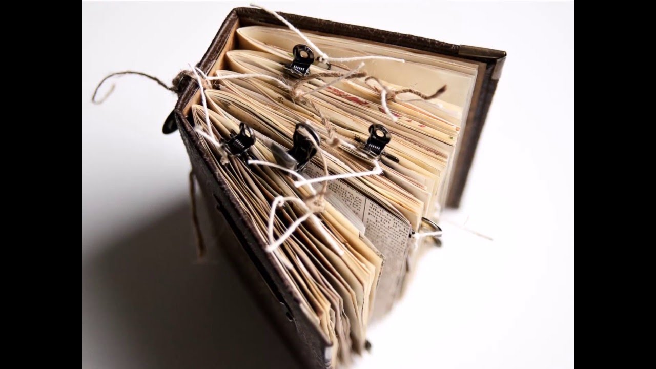 The Naturalist's Logbook - Junk Journal
