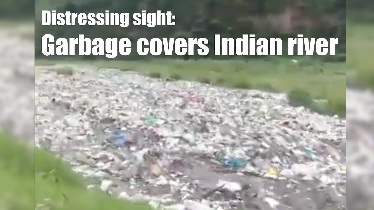 Distressing sight: Garbage covers Indian river that supplies drinking water to several cities