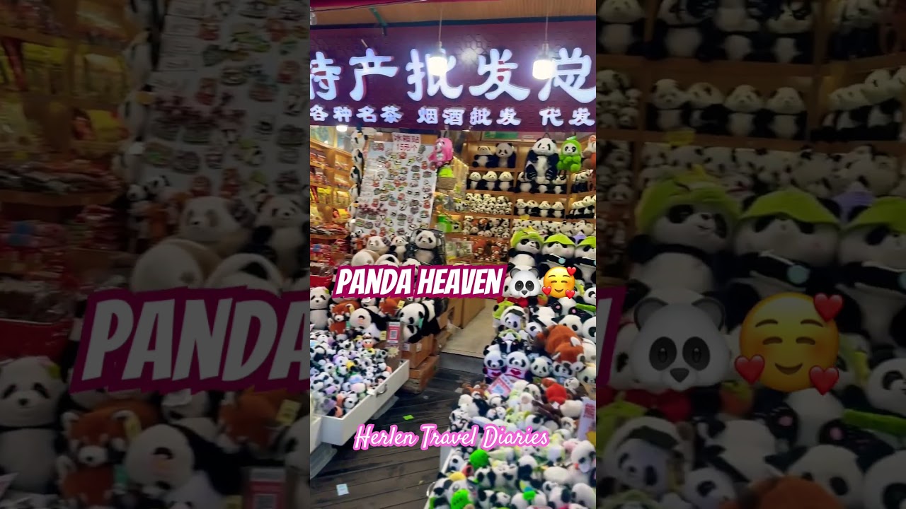 Panda Souvenir Heaven! Very cheap and affordable! Kuanzhai Alley, Chengdu! 🐼 