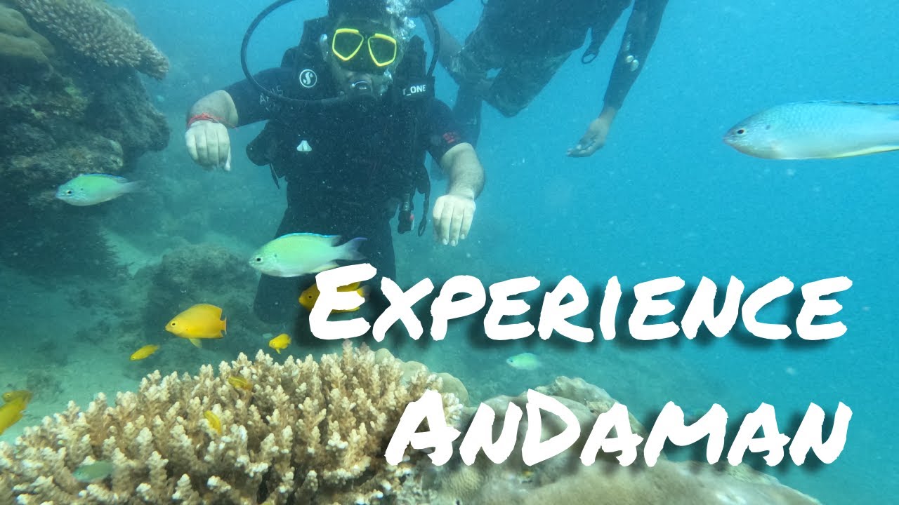 Experience Andaman | Drone Tour Of Breathtaking beaches of the Andaman Islands