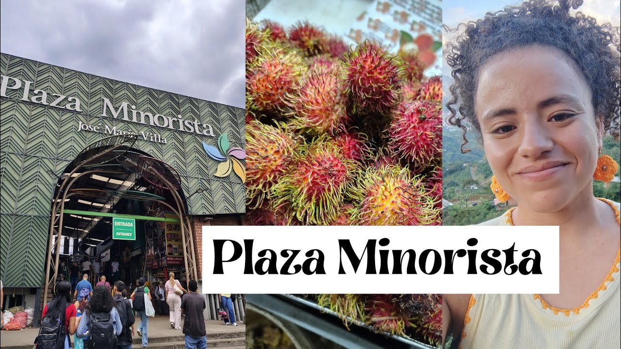 Vlog 11 - Plaza Minorista 