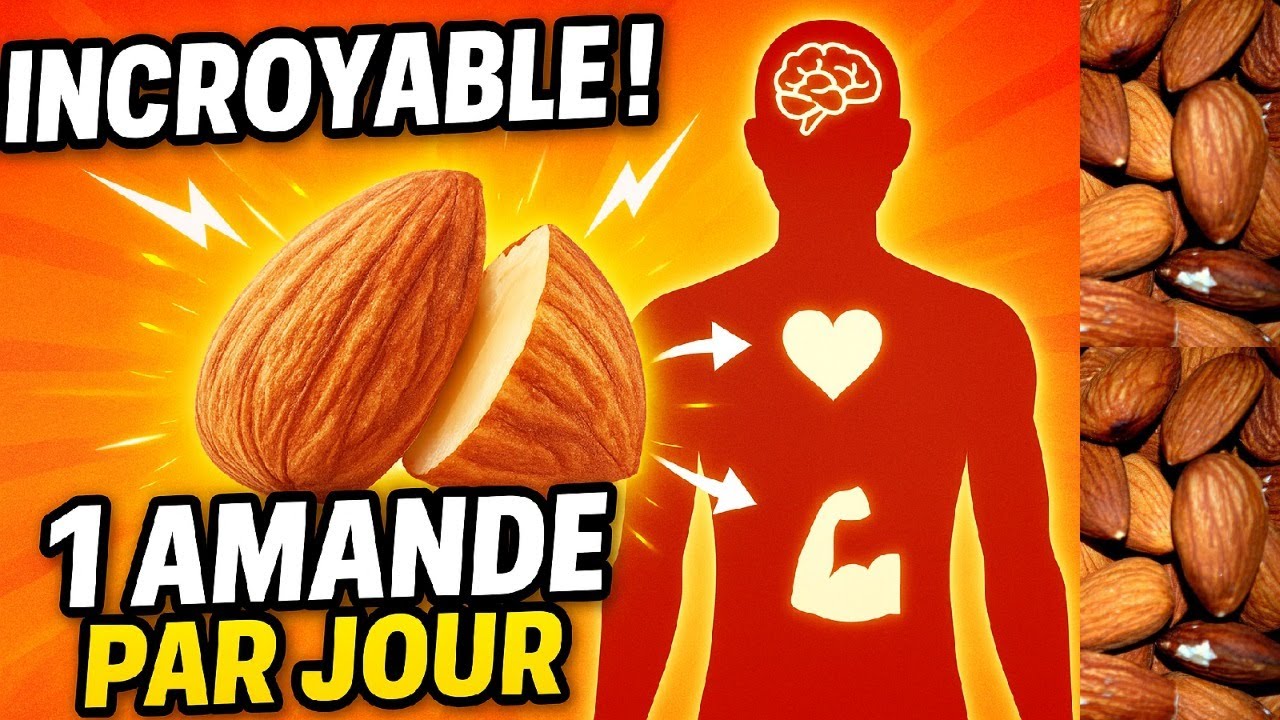 Vous Ne Croirez Jamais ce que 1 Amande Quotidienne Fait à Votre Corps.