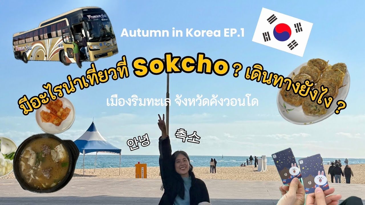 Sokcho มีอะไรน่าเที่ยว? เดินทางยังไง? | เที่ยวเกาหลี KOREA AUTUMN VLOG EP.1