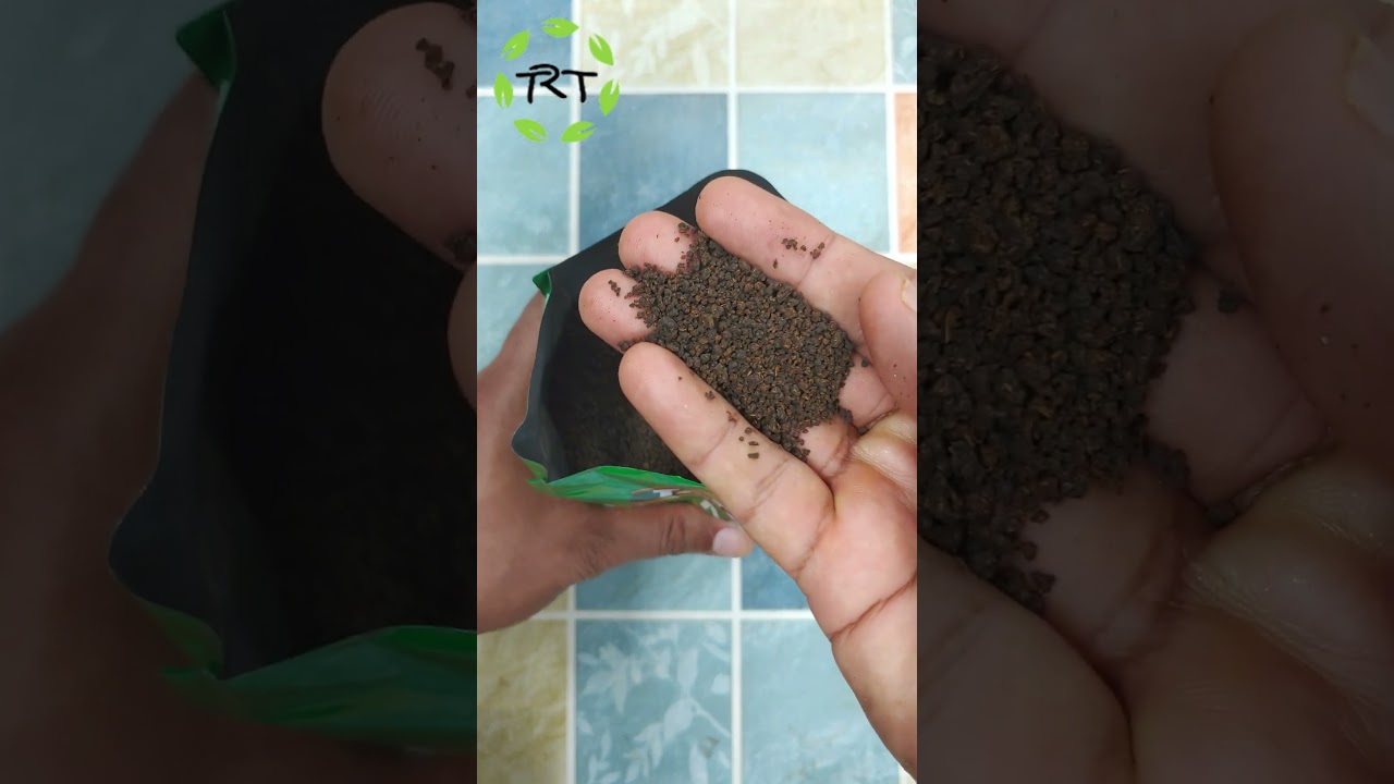 TATA Tea Premium Desh Ki Chai 600g