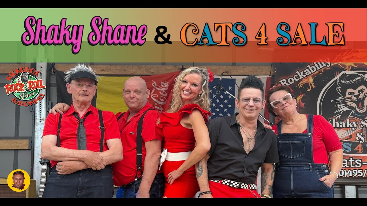 Shaky Shane & Cats 4 Sale   ✯✯✯   Kiekeboe Lommel