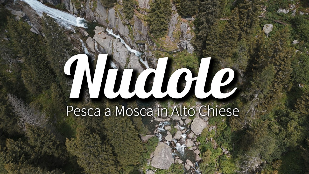 Lavezzinifly - Nudole Pesca a Mosca in Alto Chiese [trote temoli salmerini a secca streamer e ninfa]