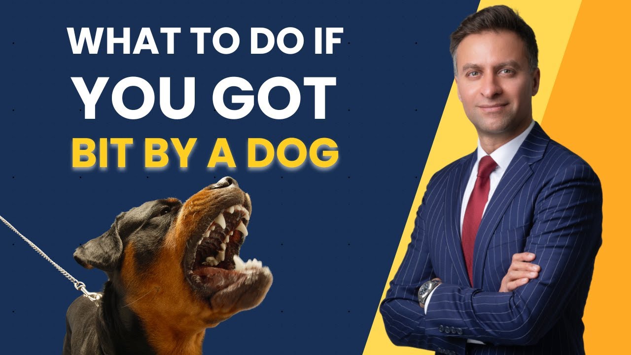 If a Dog Bites You DO THIS FAST | Anand Desai Dog Bite Lawyer
