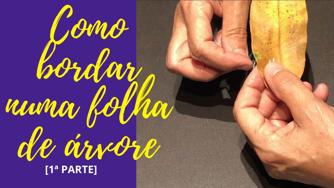Como BORDAR em folhas secas - FOLHAS BORDADAS - BORDADOS DIY - 1ª PARTE