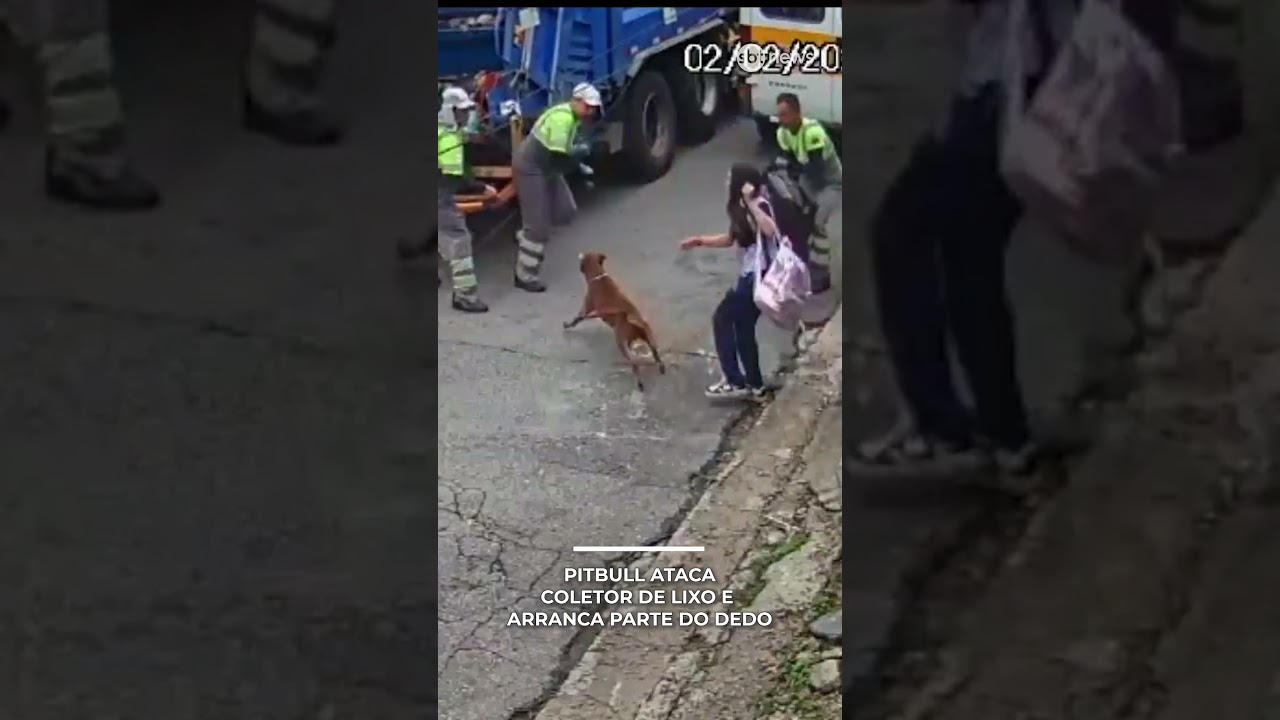 Ataque de Pitbull: Coletor de lixo perde parte do dedo | #SBTManh&atilde;