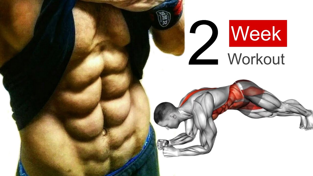 Most Effective Exercise to Lose Belly Fat || How to Reduce Belly Fat for Women at Home || Get Bigger