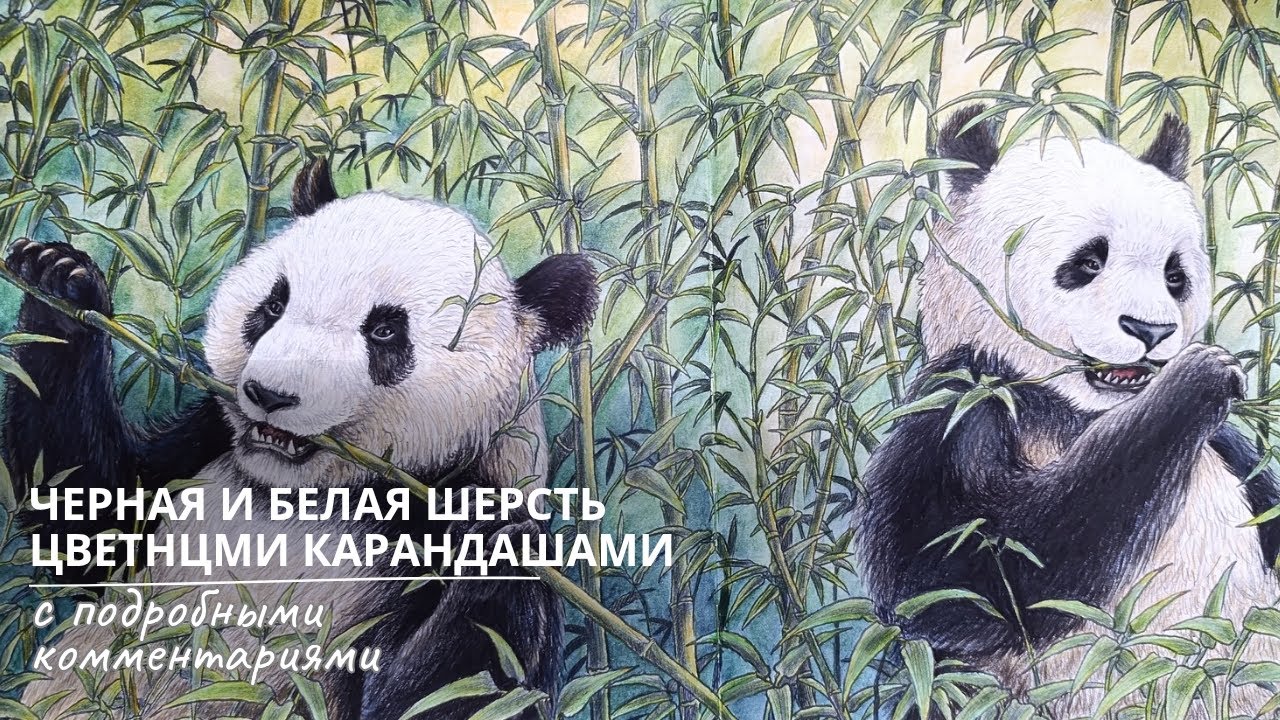 МК: Как раскрасить чёрную и белую шерсть просто и быстро