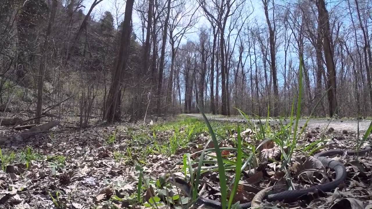 Southern Illinois's Snake Road, April 1, 2015
