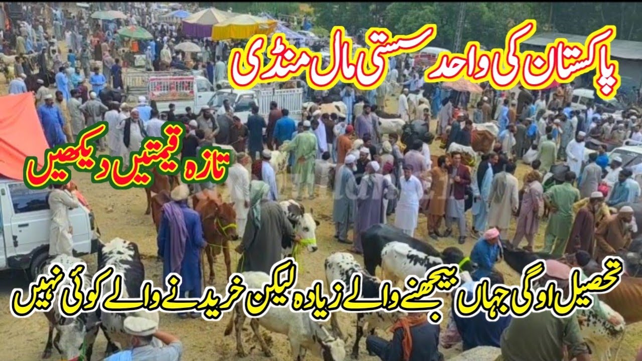 Oghi Mansehra Mall Mandi||Janwar Mandi tehsil oghi price New qeemat