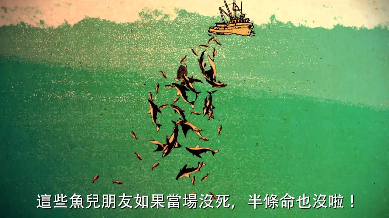 【守護海洋】打開鮪魚罐頭的殘酷秘密