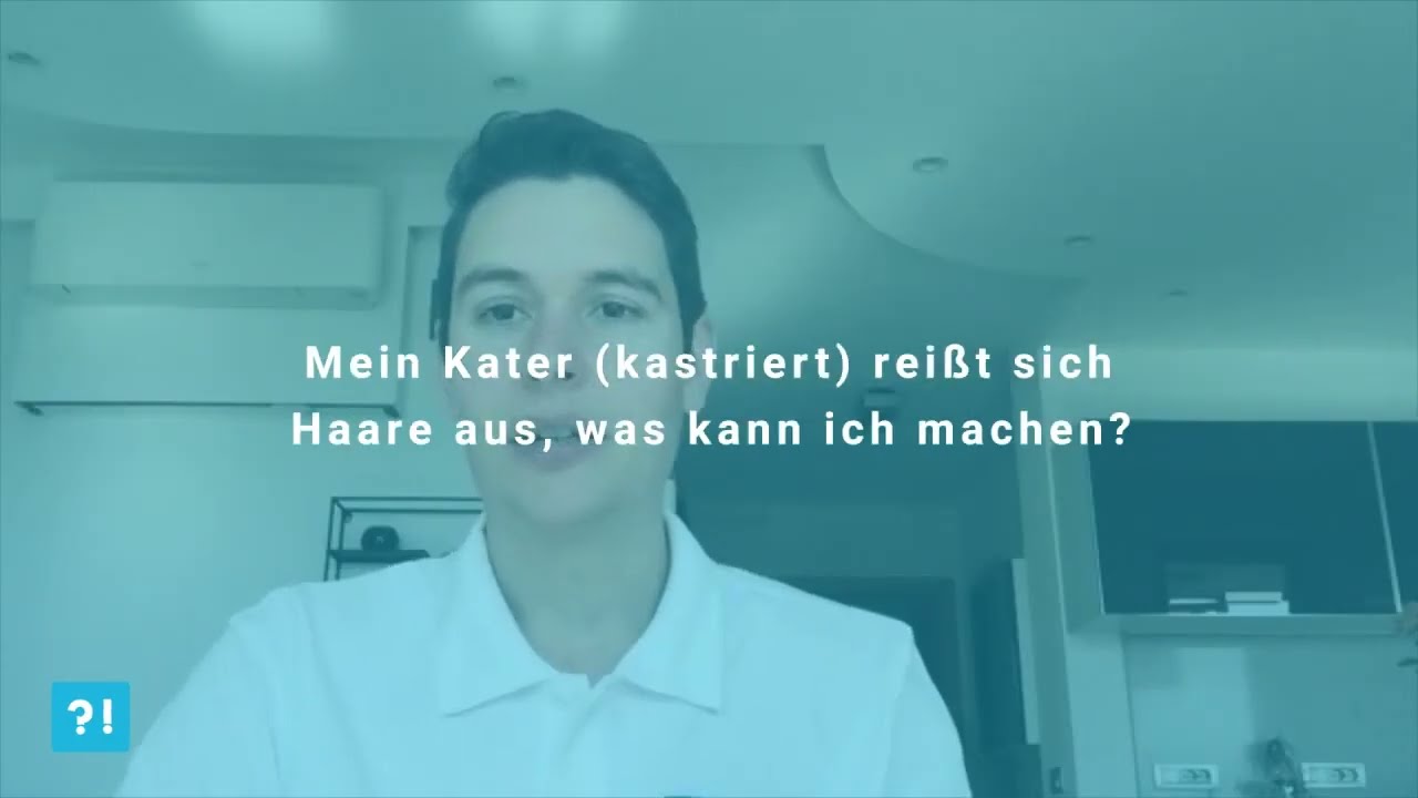 Frag den Doc?! Meine Katze reisst sich das Fell aus, was kann ich machen?