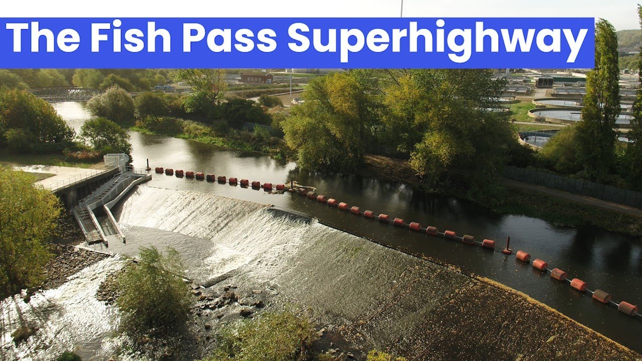 The Fish Pass Superhighway