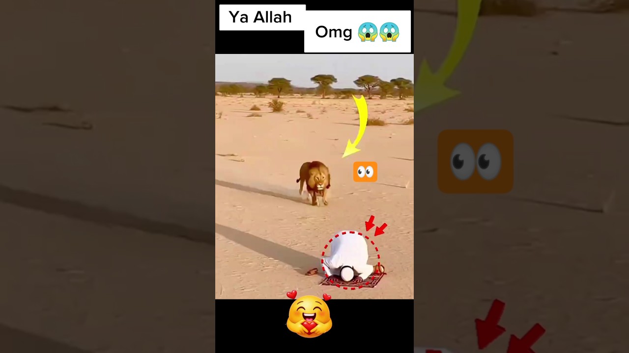 MashAllah 💪🕋&hearts;️ Respect.#shorts #allah #muhammad #mecca #madina #moosatv #masjid #Masmediainfo