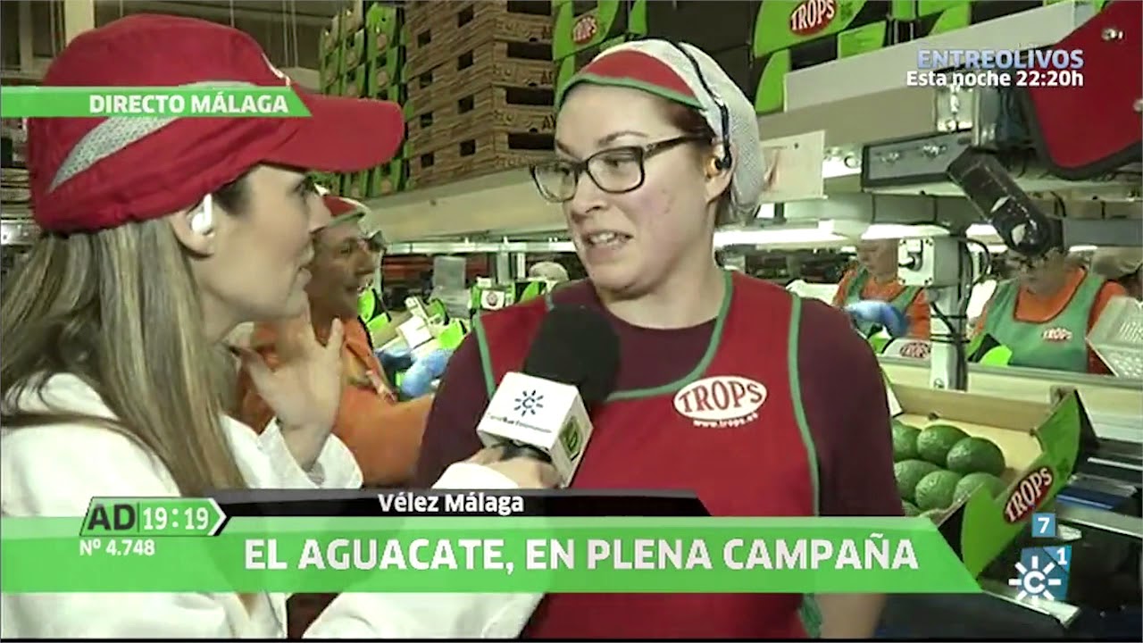 TROPS en Andalucía Directo de Canal Sur