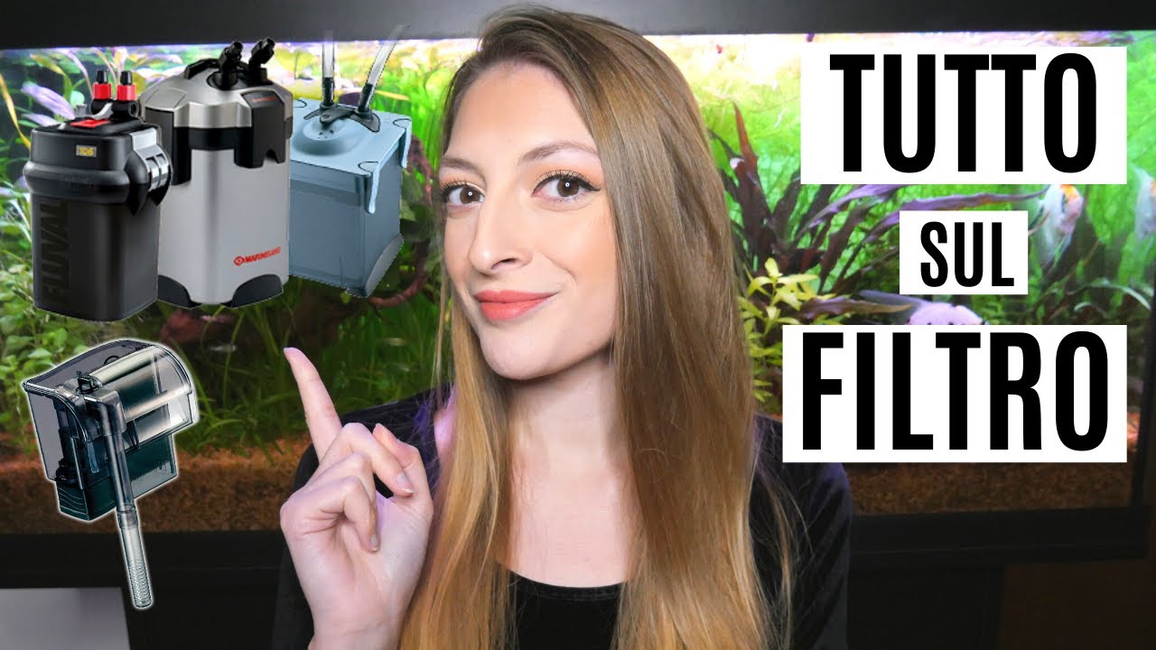 TUTTO SUL FILTRO 💦 Maturazione, Pulizia e Trucchetti!