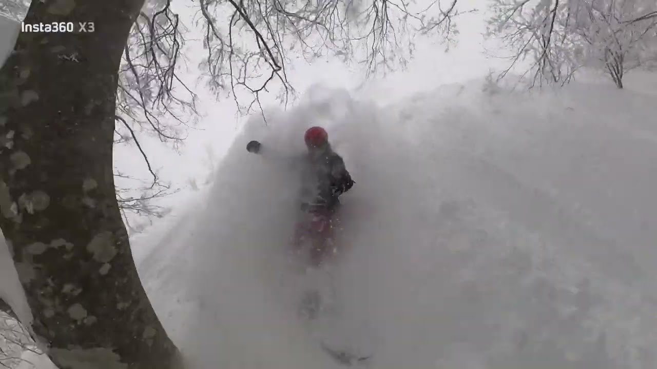 Hakuba Cortina Deeeeeep